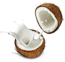 coconut-products